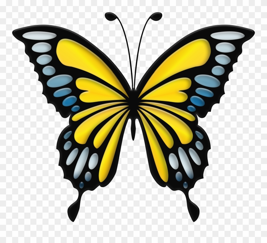 Butterfly Outline Clipart - Png Download