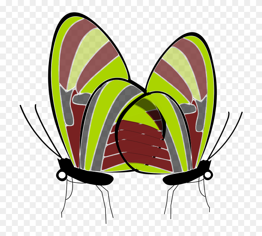 Monarch Butterfly Butterflies & Insects Brush-footed - Insect Clipart