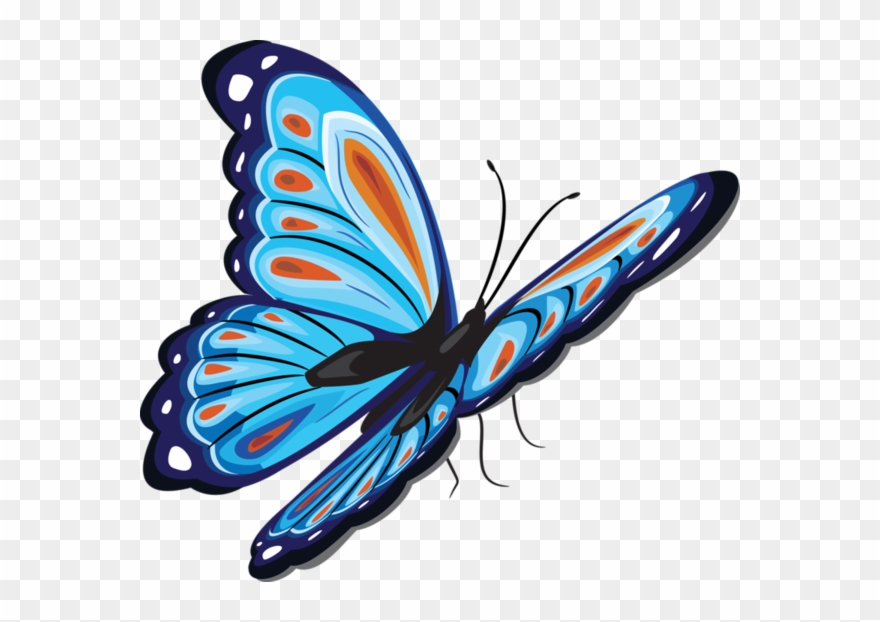 Rainbow Butterfly Clipart Papillon - Butterfly Png Transparent Png