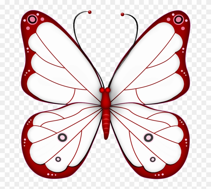 ‿✿⁀butterflies‿✿⁀ Butterfly Drawing, Butterfly Fairy, - Transparent Background Butterfly Clipart - Png Download