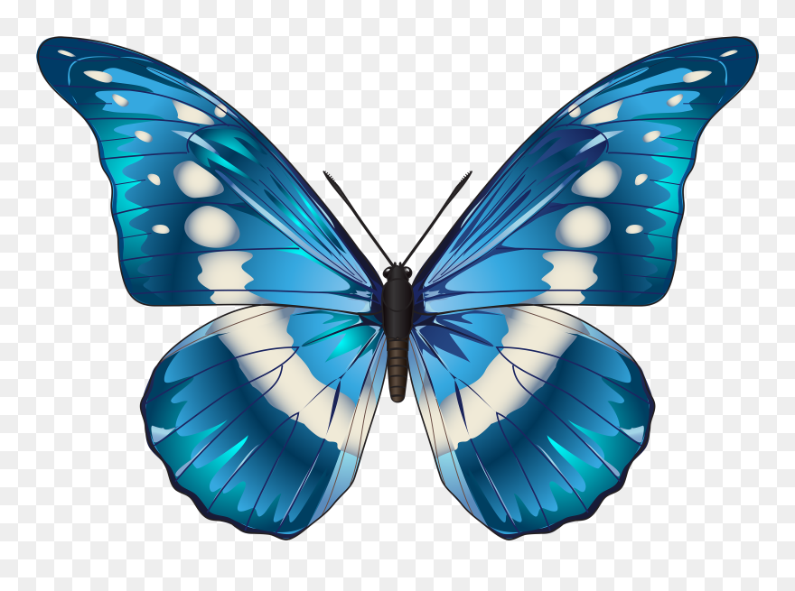 19 Butterfly Clipart Freeuse Huge Freebie Download - Transparent Background Butterfly Clipart - Png Download