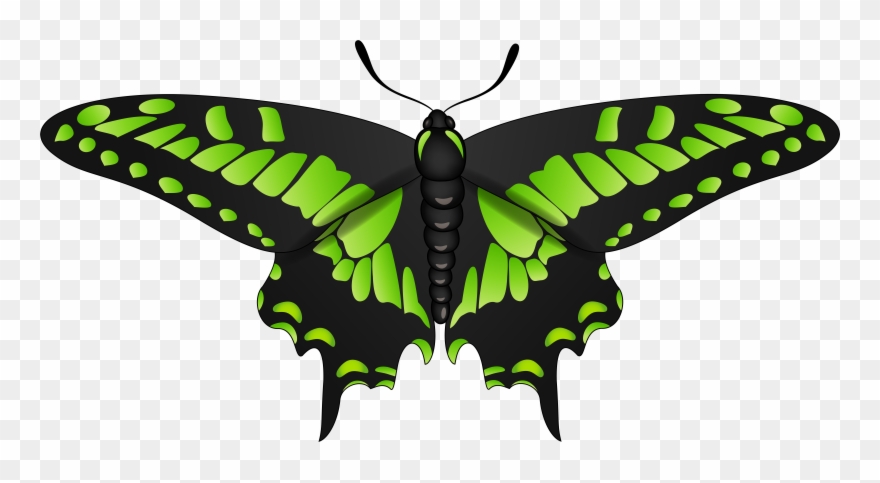 Clip Art - Png Download