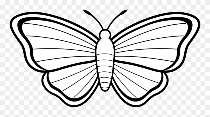Black And White Butterfly Clip Art - Butterfly Images For Colouring - Png Download