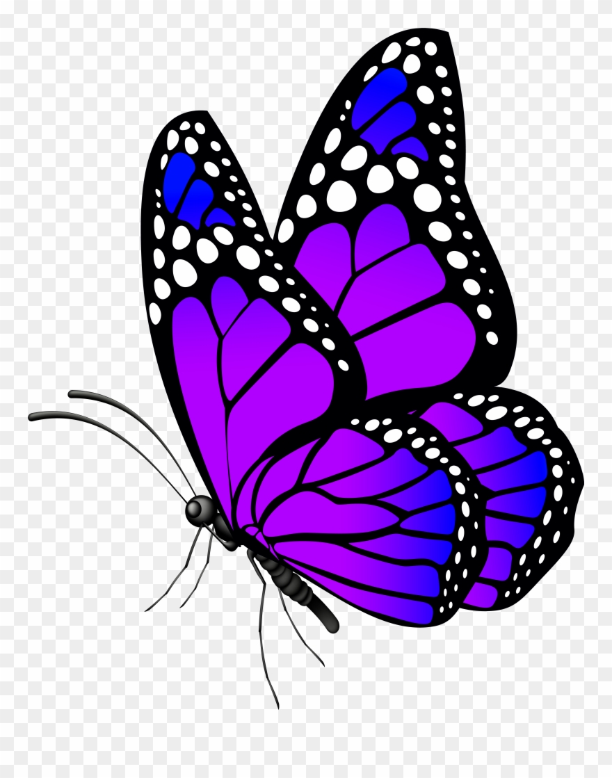 Jpg Purple Clip Art Image - Png Download