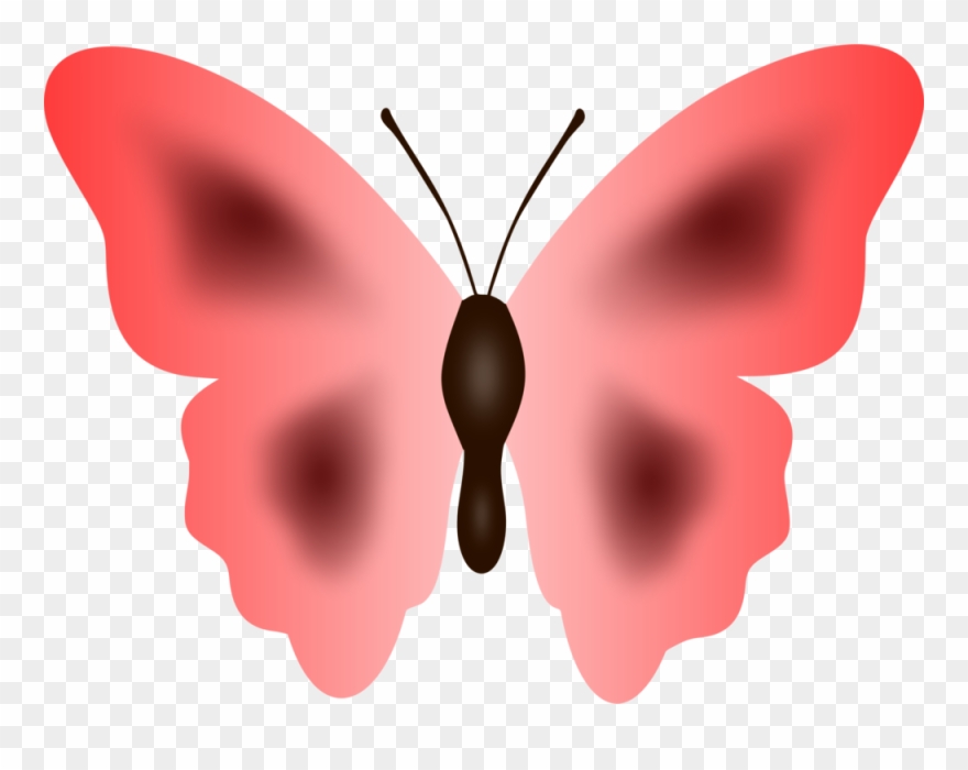 Butterfly Moth Cartoon Pink - Clip Art - Png Download