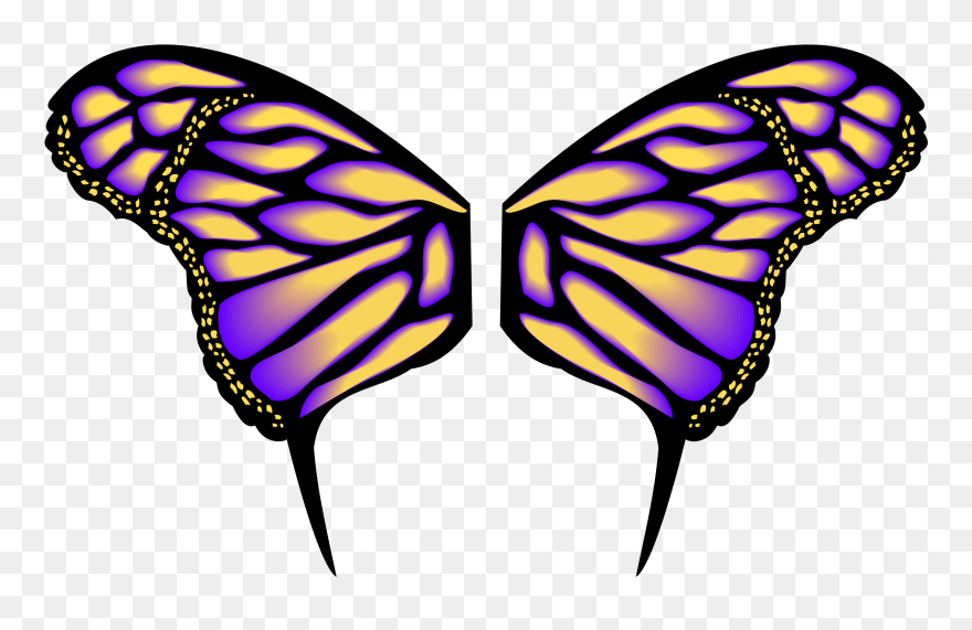 Medium Image - Butterfly Wings Clipart - Png Download