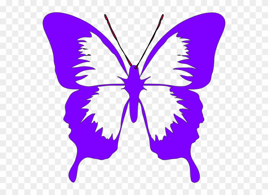 Gambar Kupu Kupu Cantik Clipart