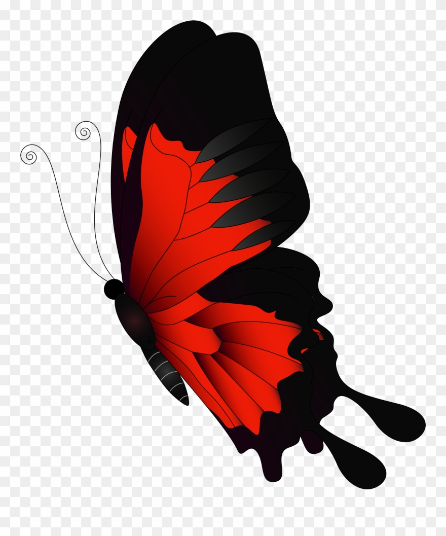 Graphic Library Stock Flying Butterfly Clipart - Butterfly Clip Art Flying - Png Download