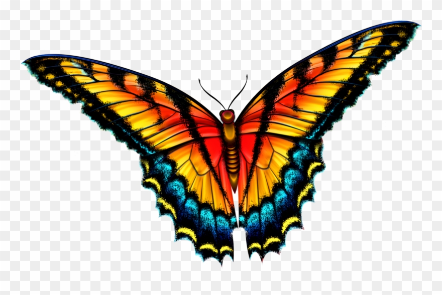 Butterfly - Smokey Mountain Butterflies In Field License Plate Clipart