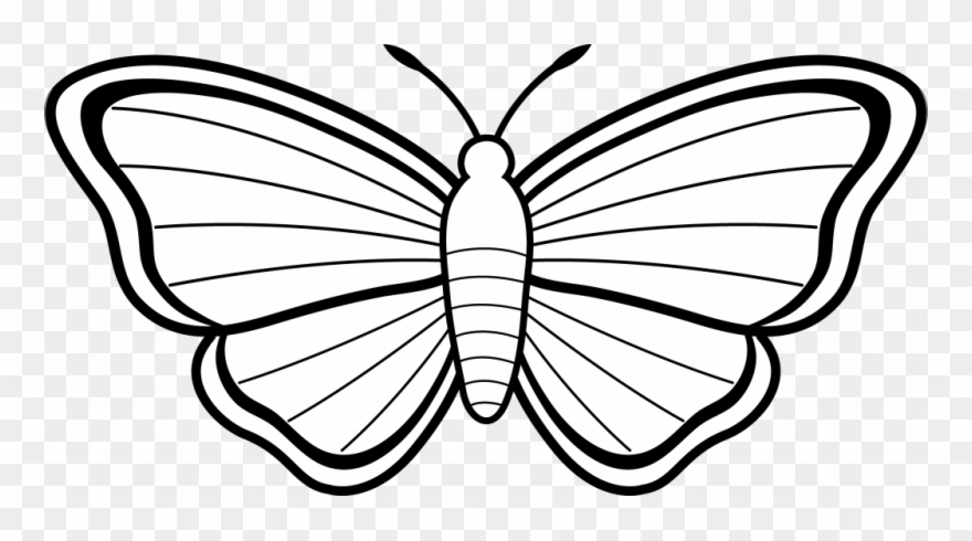 Weird Butterfly Sketch Pictures Free Cliparts Download - Colouring Picture Of Butterfly - Png Download