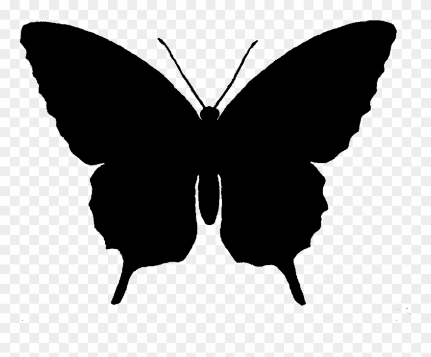 Butterfly Silhouette At Getdrawings Com Free For - Silhouette Butterfly Clip Art - Png Download