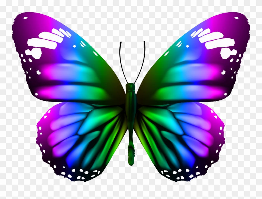 Butterfly Transparent Png Image Gallery Yopriceville - Monarch Butterfly High Resolution Clipart