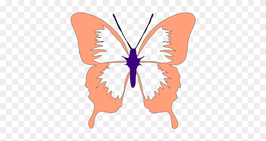 Peach Butterfly Clip Art At Clker - Butterfly Clip Art - Png Download