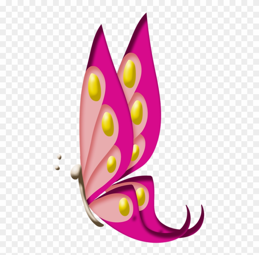 ‿✿⁀butterflies‿✿⁀ - Lepidoptera Clipart
