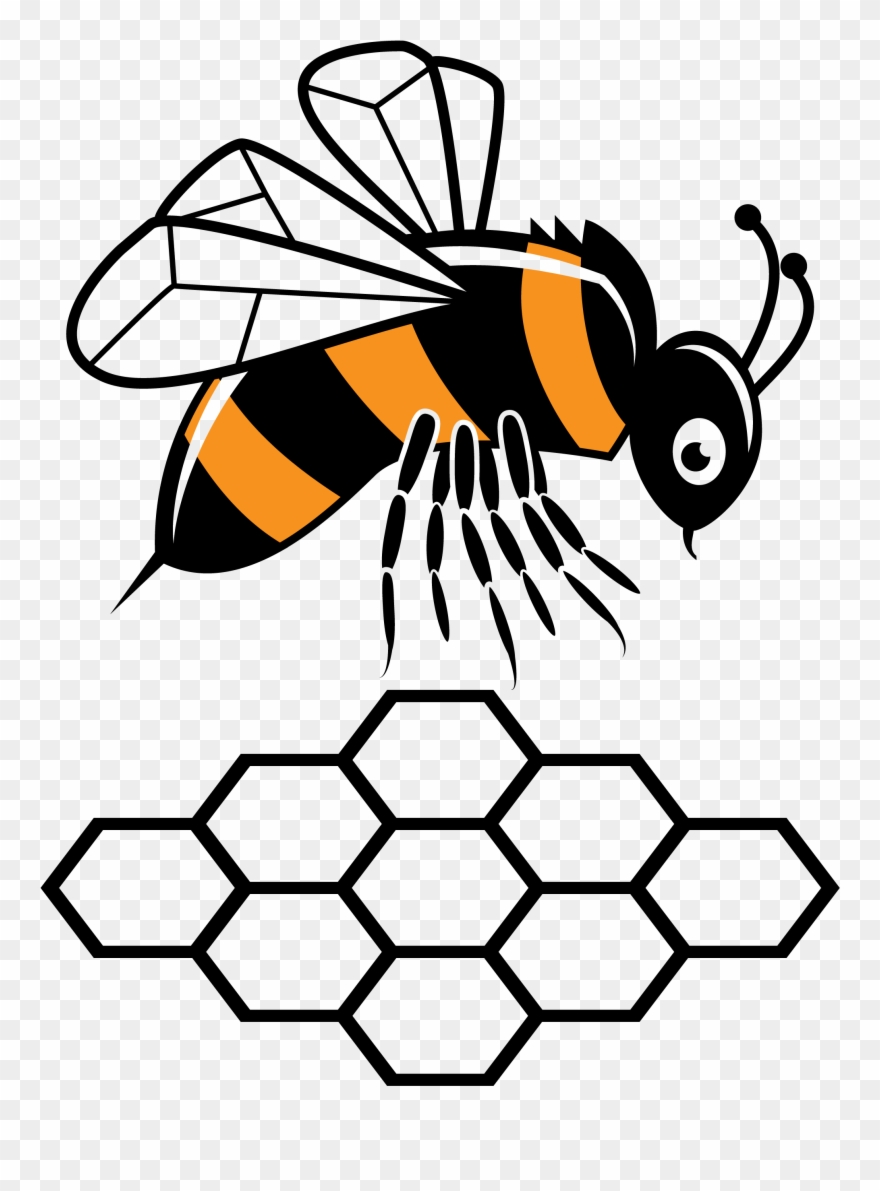 Clipart Bee Butterfly - Bee - Png Download