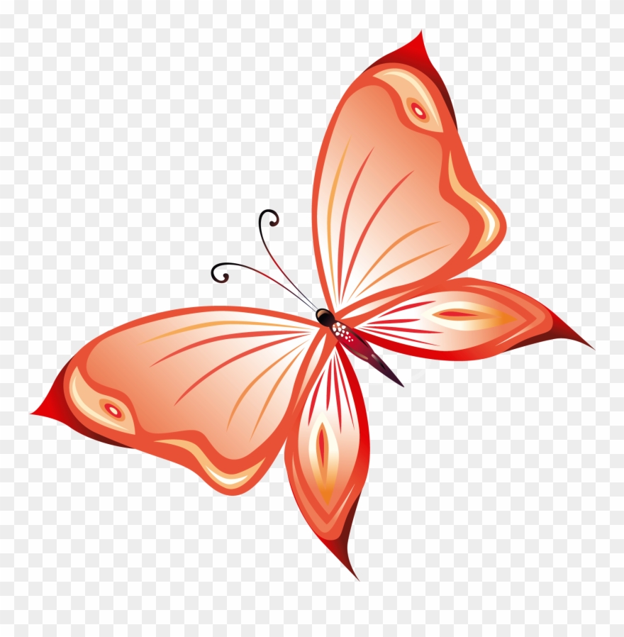 Butterfly Clipart Transparent Png - Red Butterfly Png