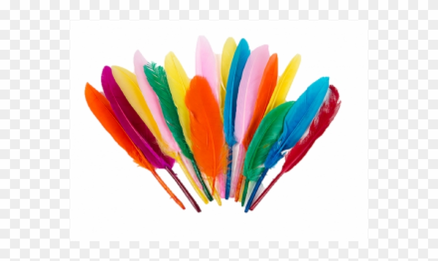 Toptan - Renkli Tüy Clipart
