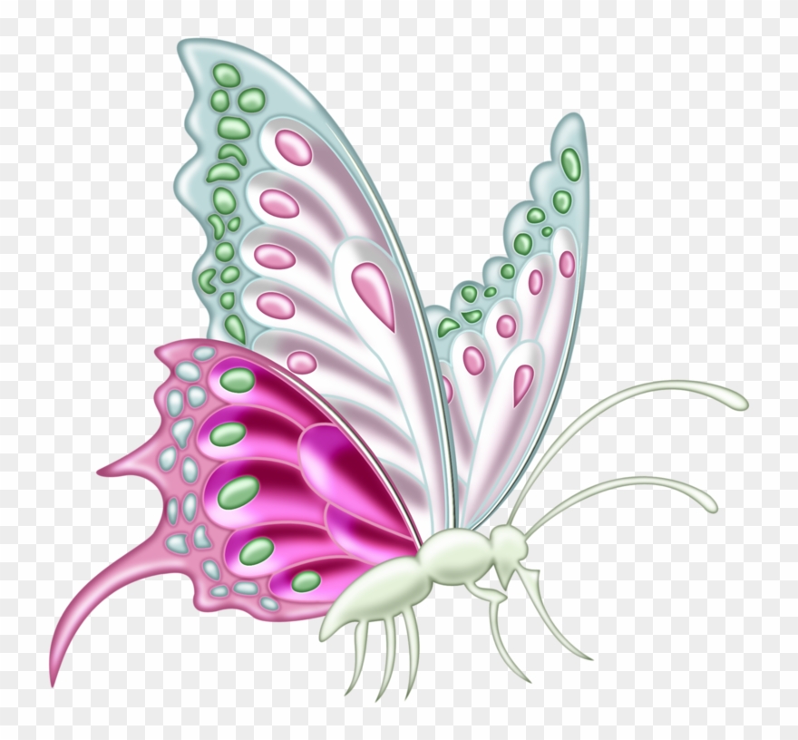 ‿✿⁀butterflies‿✿⁀ Butterfly Dragon, Butterfly Clip - Swallowtail Butterfly - Png Download