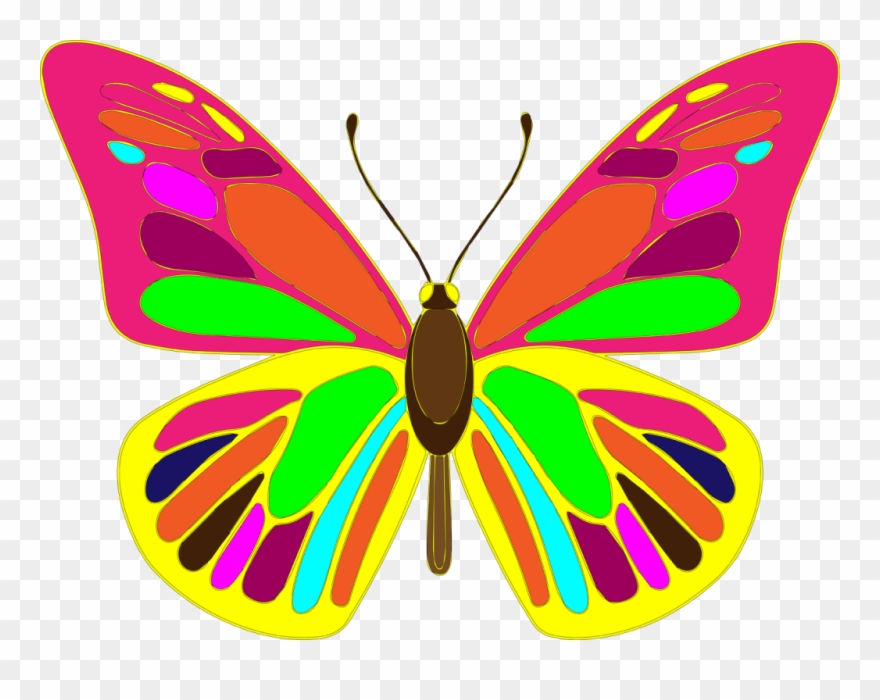 Free Butterfly Vector Art - Butterfly Vector Clipart