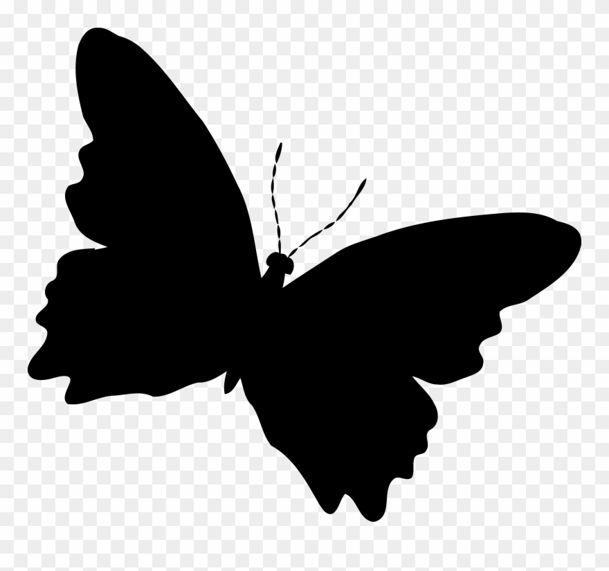Download Download Silhouette Butterfly - Butterfly Png Vector ...