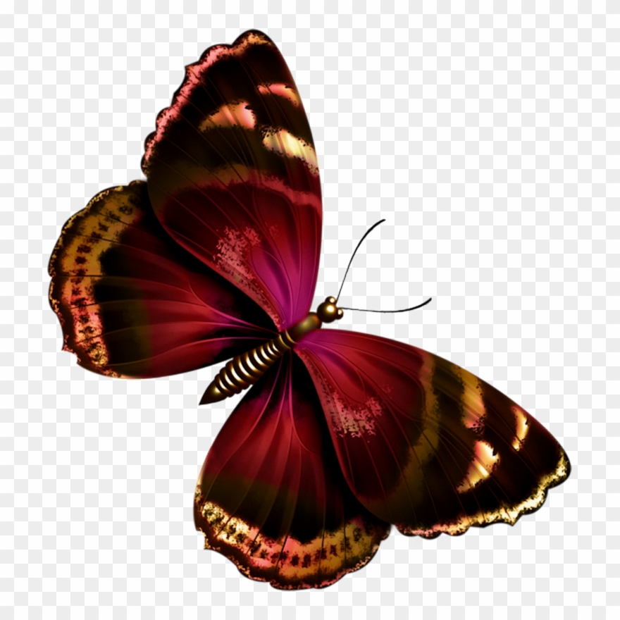 İndir - Belles Images Tubes Pour Créa Papillons Scraps Clipart