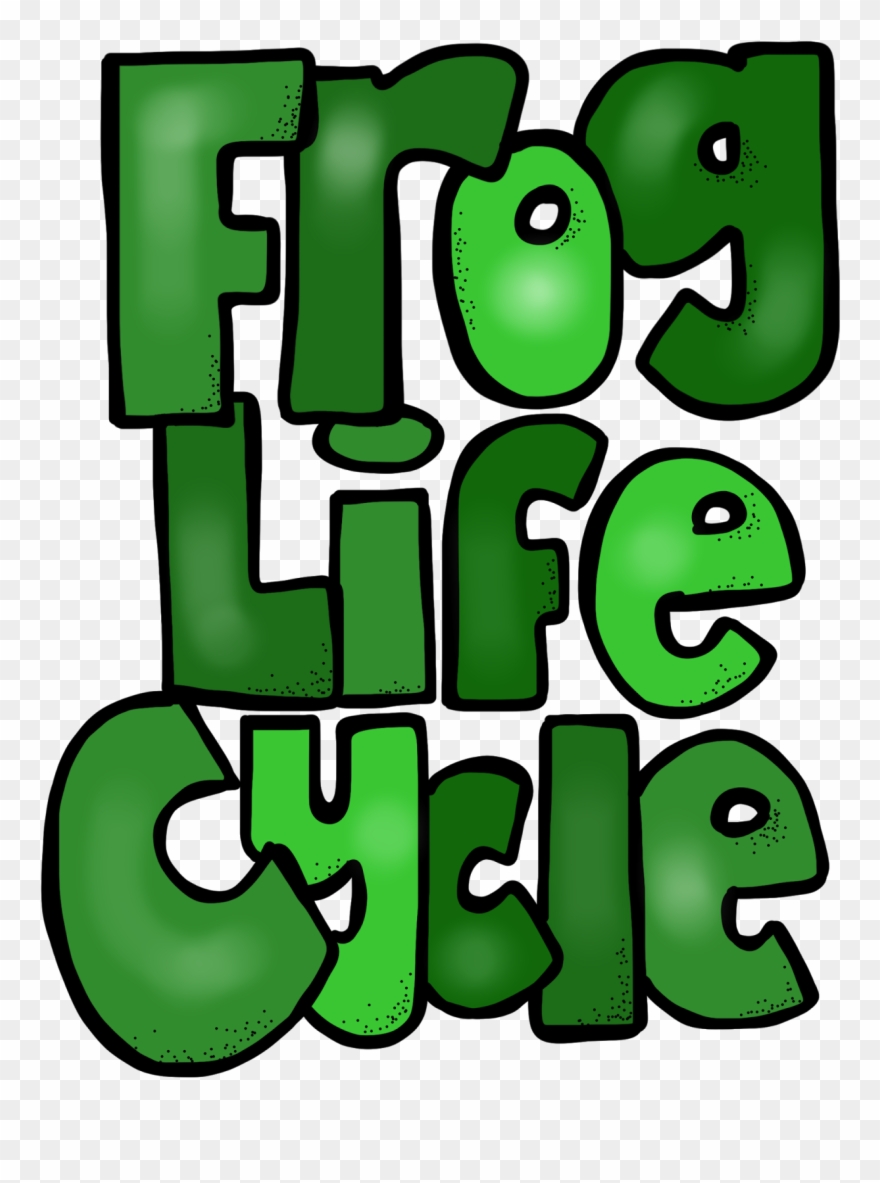 Http - //www - Teacherspayteachers - Com/product/butterfly - Frog Clipart