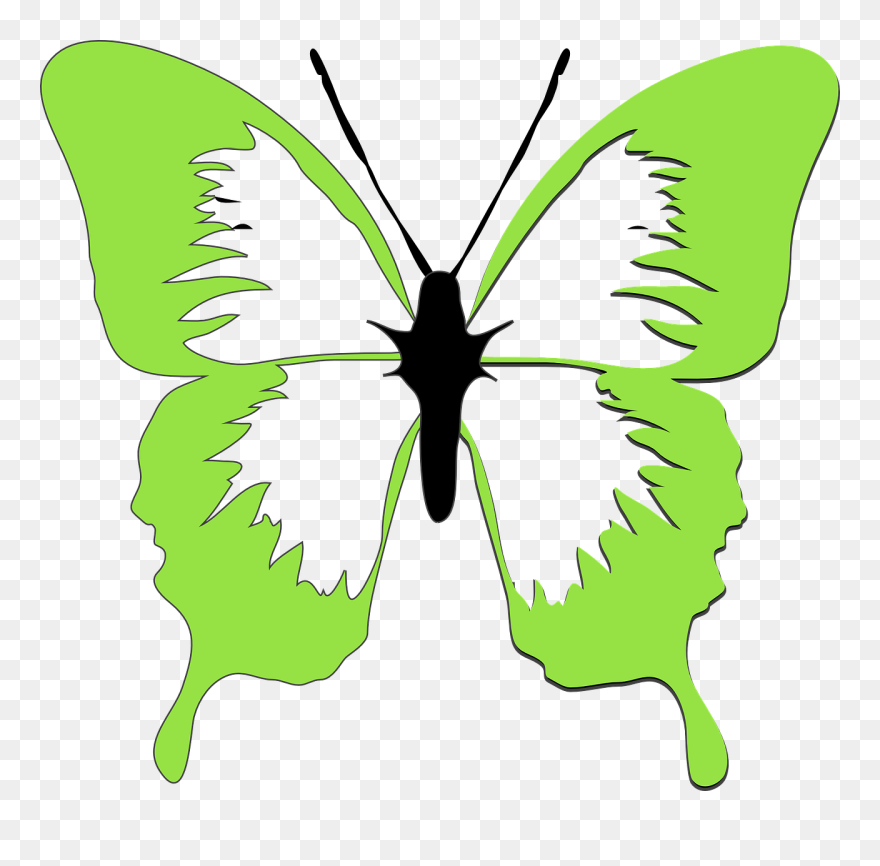 Green Butterfly Clip Art - Png Download