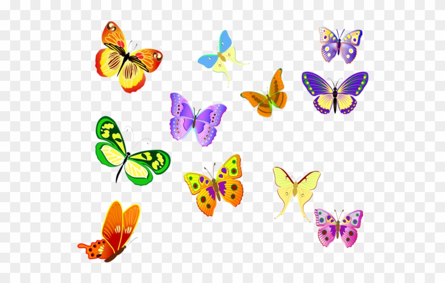 Papillons - Coloring Book For Grown Ups: Gorgeous And Elegant Butterflies Clipart