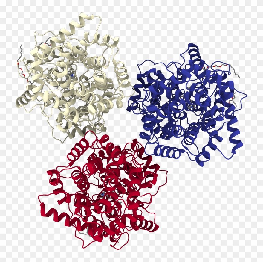 Chains Colored In Rainbow - Hydrangea Clipart