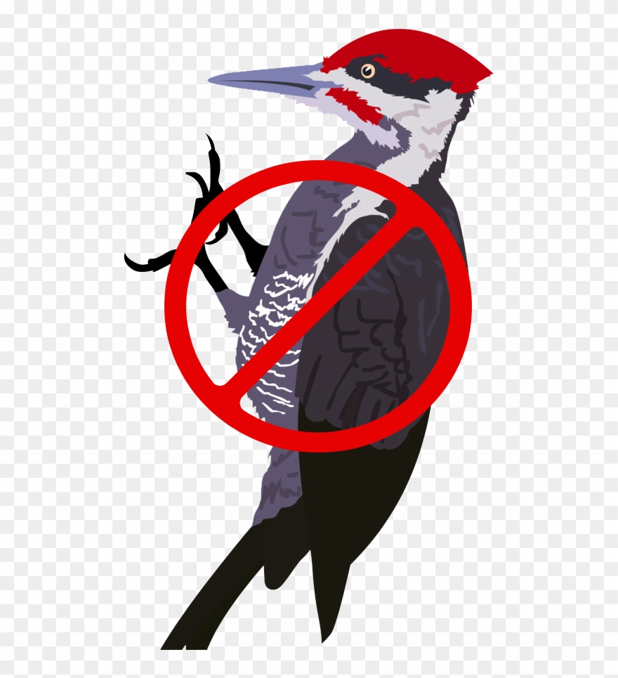 Which Are Mixed In A Proprietary Ratio To Produce The - Woodpecker Clipart - Png Download