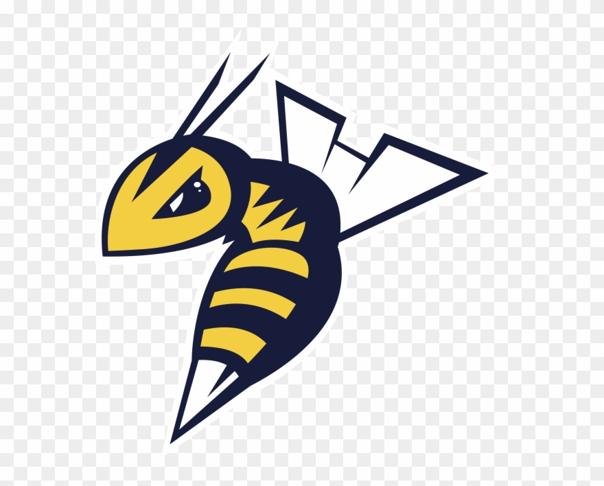 Edmonton - Edmonton Stingers Clipart