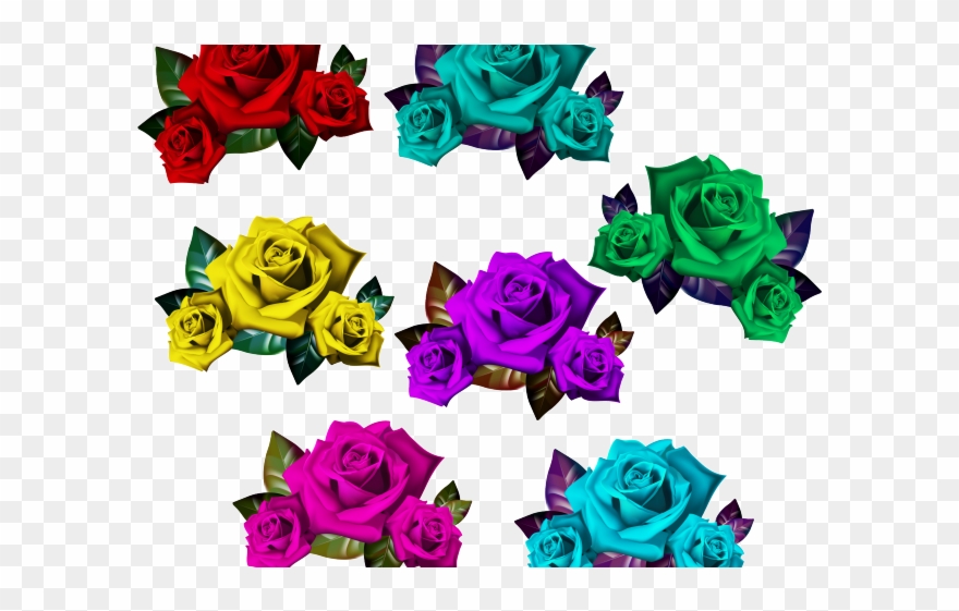 Rose Clipart Romeo And Juliet - Floribunda - Png Download