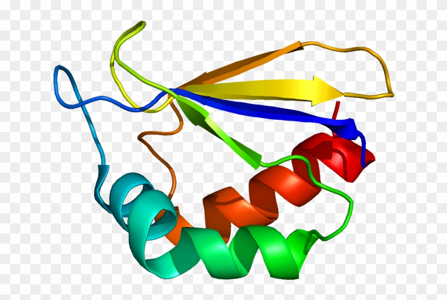 Clip Art - Png Download