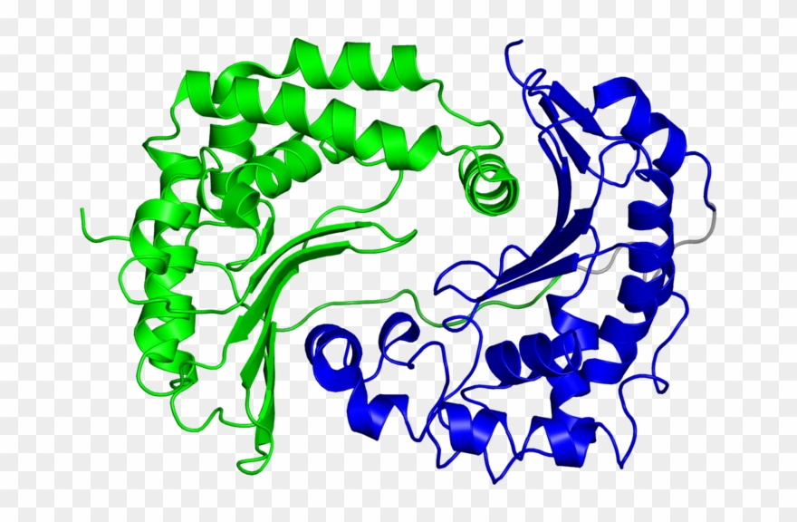 <div Class='caption-body'>2 Copies Of Cath Domain < - Graphic Design Clipart