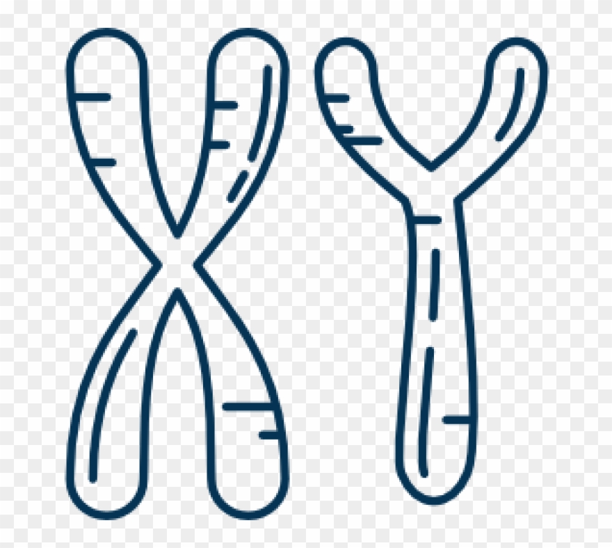 Medical-700x708 Clipart