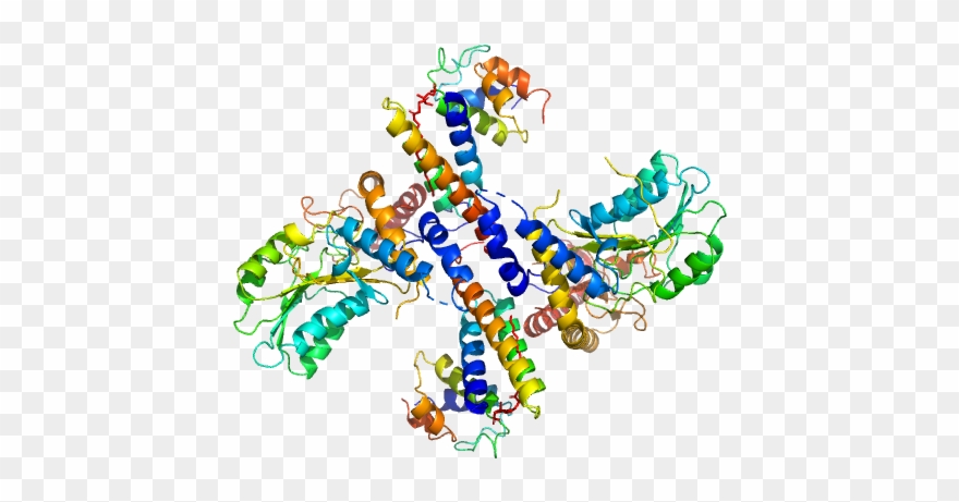 Cysteine Desulfurase, Mitochondrial Lyr Motif-containing - Illustration Clipart