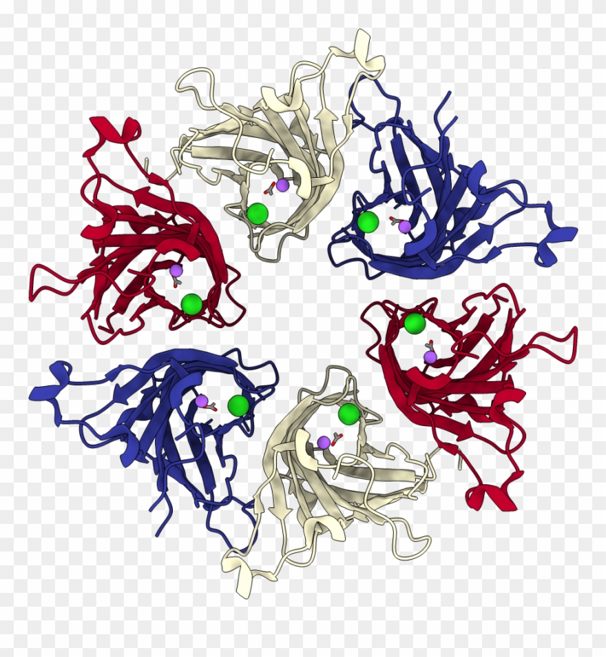 Biological Assembly - Illustration Clipart