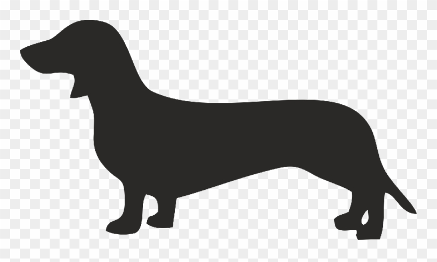 Dachshund Png - Трафарет Собаки Таксы Clipart