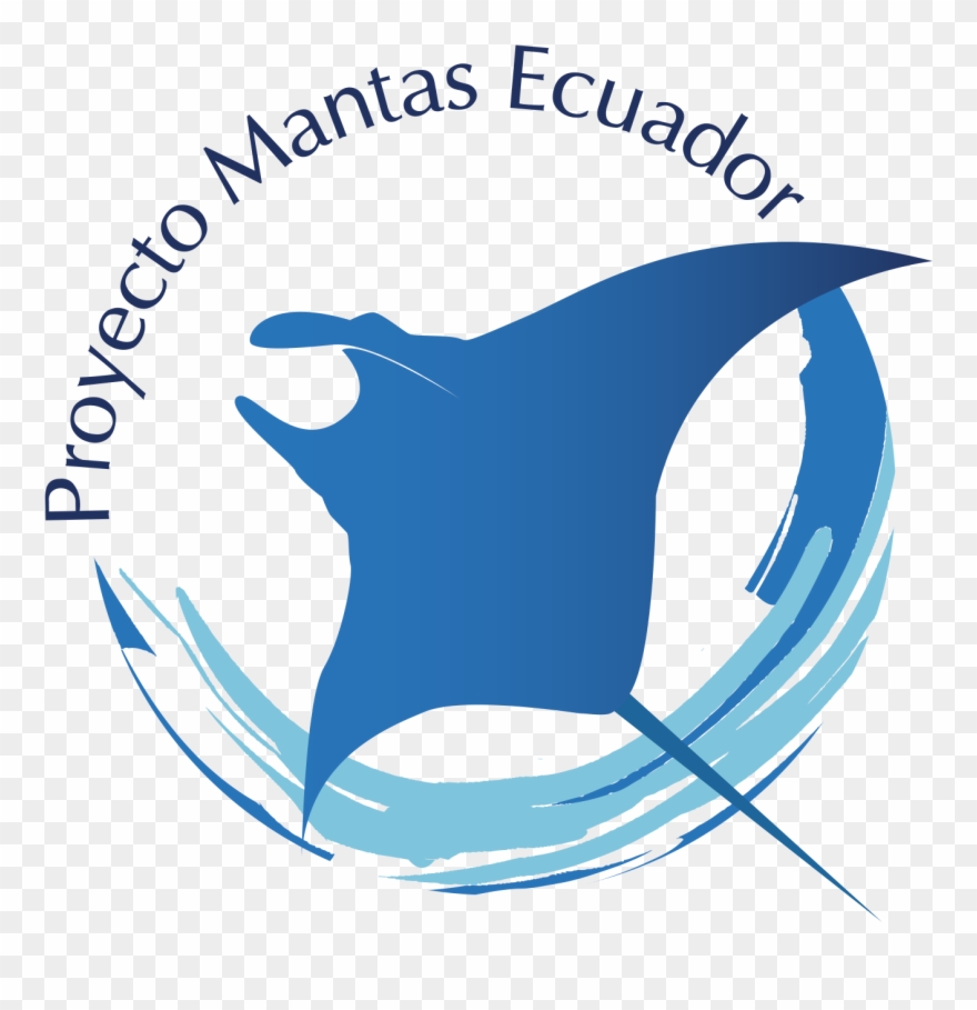 Your Browser Does Not Support Html5 Video - Manta Ray Clipart