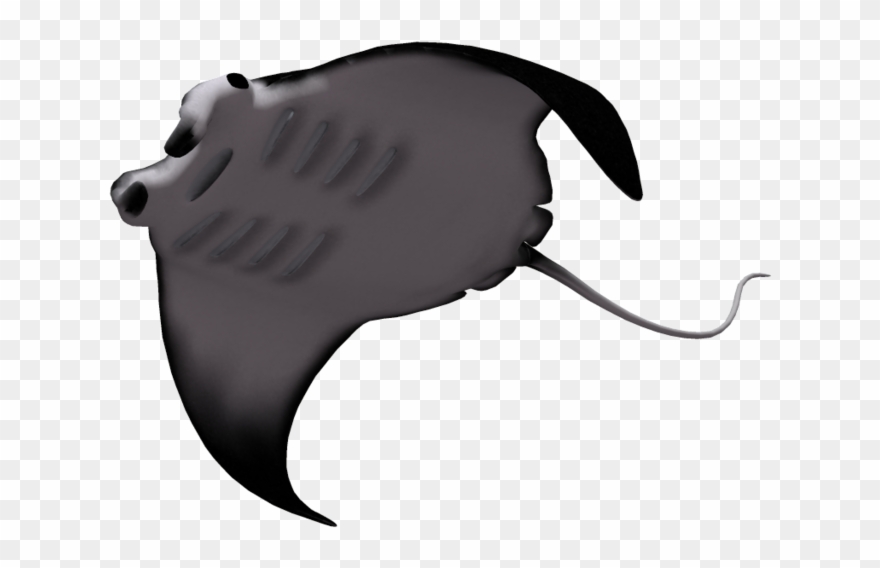 Manta Ray - Manta Ray - Manta Ray Clipart