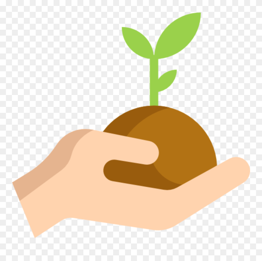 Permaculture - Plant A Tree Icon Png Clipart