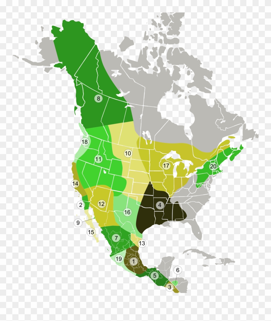 1782 X 1953 0 0 - Hydrology Map Of Canada Clipart