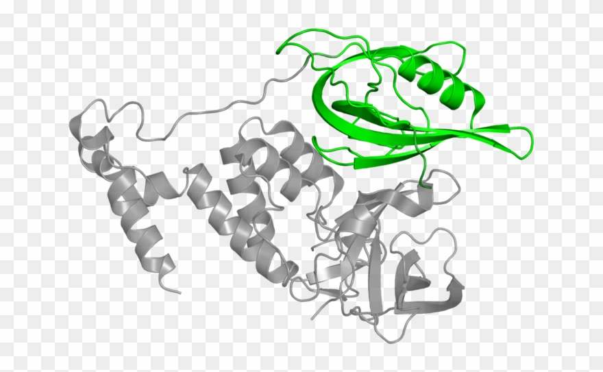 <div Class='caption-body'>1 Copy Of Cath Domain - Cartoon Clipart