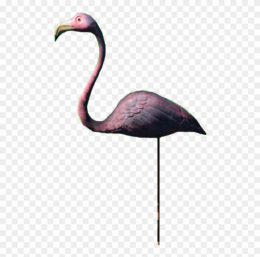Plastic Flamingo Png - Greater Flamingo Clipart
