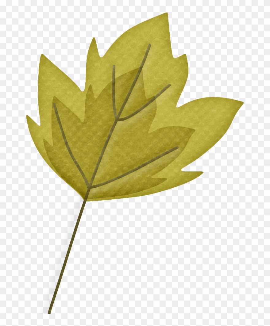 Faℓℓ ‿✿⁀○ - Maple Leaf Clipart