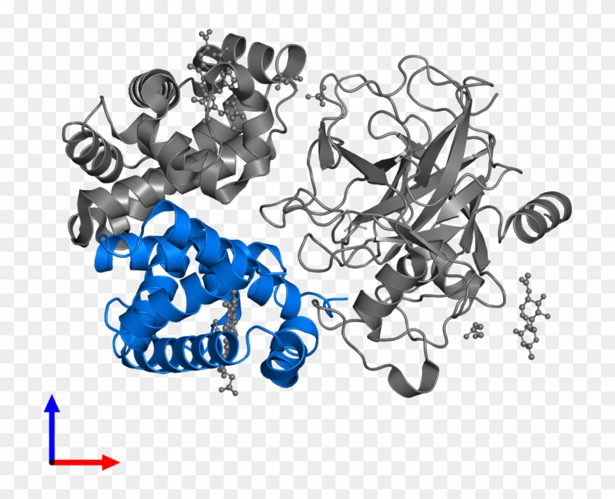 <div Class='caption-body'>pdb Entry Contains 1 Copy - Illustration Clipart