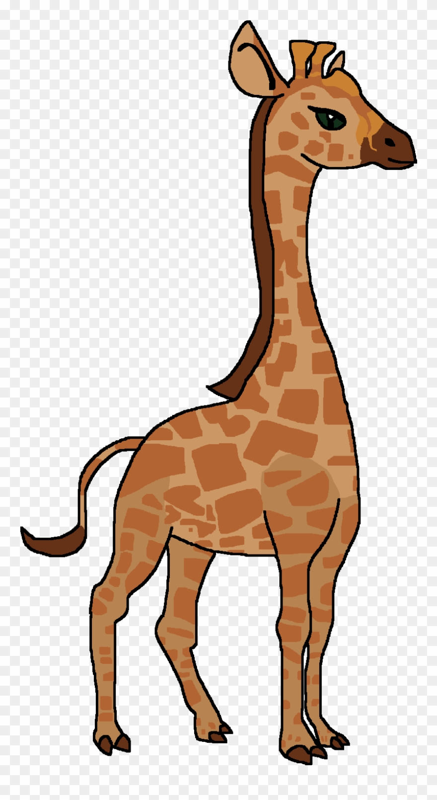 Wiki , Png Download - Giraffe Clipart