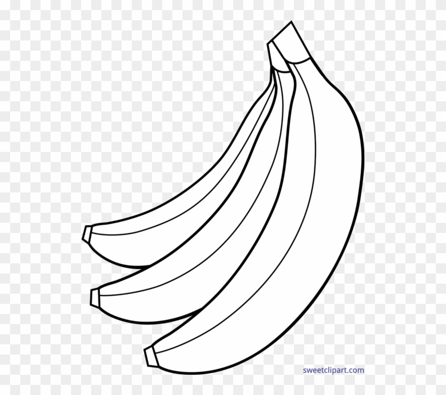 558 X 700 1 0 - Bananas Clipart Black And White - Png Download