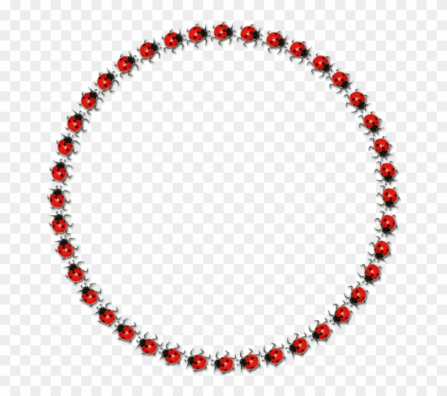 Molduras Ladybug Png - Circle Frame Transparent Png Clipart
