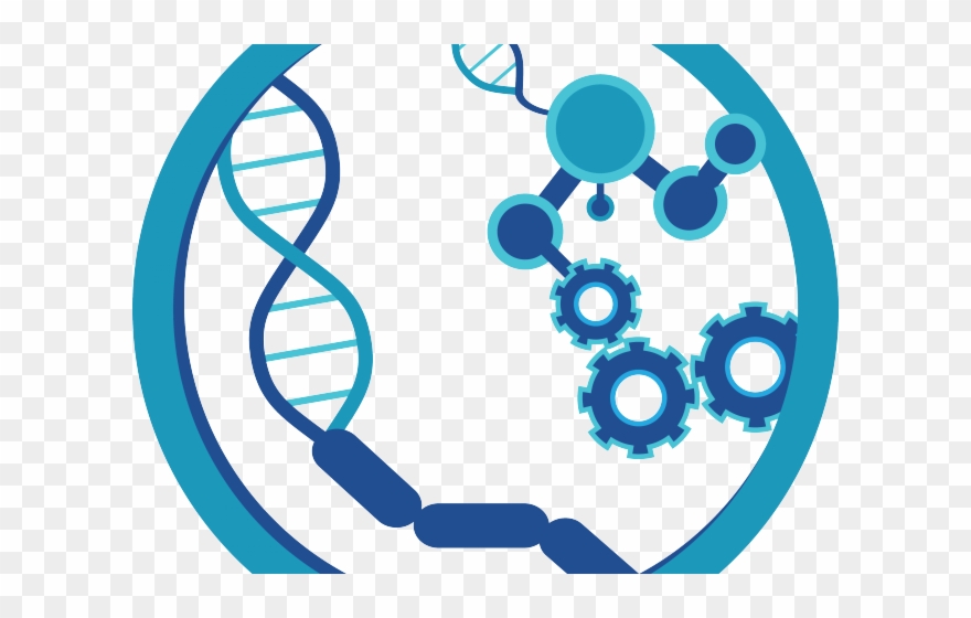 Stem Clipart Biology Lab - Microbiology Png Transparent Png